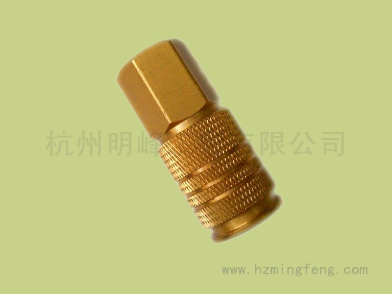 9004031(22*30.5歐美通用母接 NPT1/4F 刻字1/4