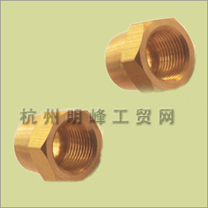 Brass Fitting 1