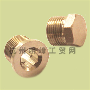 Brass Fitting 2