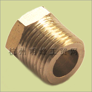 Brass Fitting 4